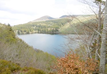 Tour Wandern Orcival - 22-MAI-19 12.43.23 - Photo