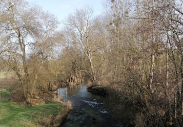 Trail Walking Saint-Maurice-la-Clouère - Saint-Maurice-La-Clouère - Photo