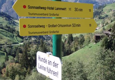 Tour Zu Fuß Großarl - Wanderweg 66 - Photo