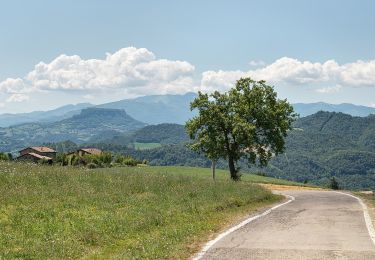 Percorso A piedi Canossa - Roncaglio - Iagarone - Ca' De' Curti - Solara - Cadrazzolo - Roncovetro - Vedriano - Pietranera - Photo