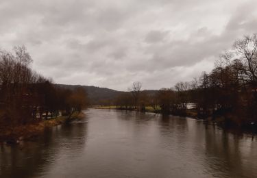 Tocht Stappen Esneux - pont de Hony . ferme de l'Oneux . Ham . Esneux . Avionpuits . Hony - Photo