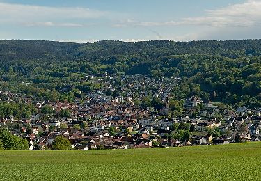 Excursión A pie Bad Soden-Salmünster - Bad Orb Rundwanderweg 1 Orbtalblick - Photo