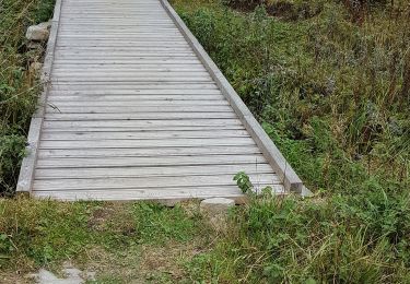 Tocht Stappen Moulinet - Bois Noir au départ de Cabanes Vieilles - Photo