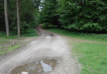 Tour Zu Fuß Ashford - Beech Walk & Sculptures - Photo