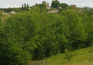 Tocht Stappen Claveyson - Prieure de Saint Andeol - Photo