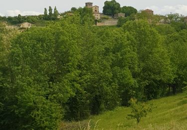 Trail Walking Claveyson - Prieure de Saint Andeol - Photo