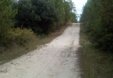 Trail Walking Le Grand-Village-Plage - Oléron 2 - Photo