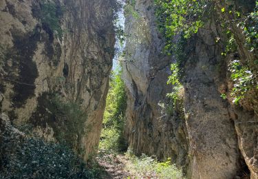 Tour Pfad Cheval-Blanc - Campanette-Bedoin-L’Ubac-Vidauque(25K 720D+) - Photo