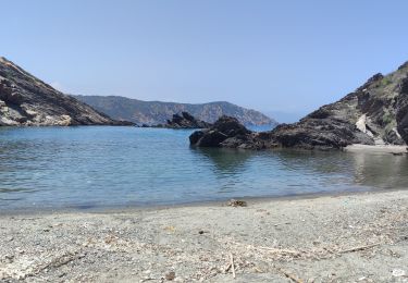 Excursión Senderismo Cadaqués - CAP CREUS CALA PRONA - Photo