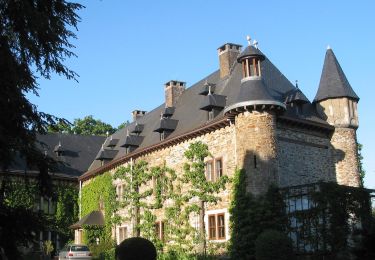 Tocht Te voet Lierneux - Lierneux 11 - Photo