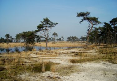 Tocht Te voet Woensdrecht - Wandelpad Mier - Photo