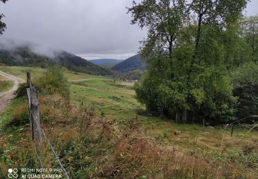 Excursión Senderismo Goldbach-Altenbach - Firstacker - Photo