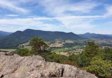 Trail Walking Dambach-la-Ville - Sommets et rochers - Photo