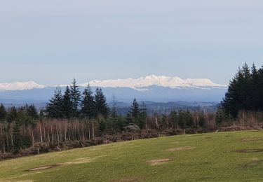 Tour Wandern Meymac - Montagne du Cloup, les Farges - Photo
