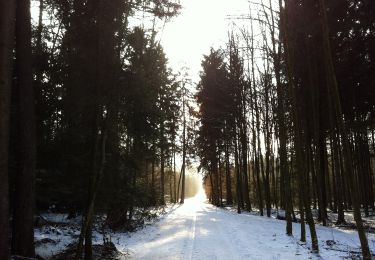 Trail On foot Egerkingen - Egerkingen Bahnhof - Fulenbach - Photo