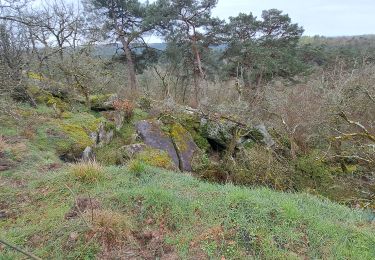 Tocht Stappen Larchant - T-Larchant.2 - Photo