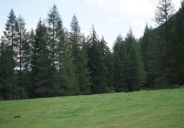 Tour Zu Fuß Gemeinde Sankt Jakob in Defereggen - Wassererlebnisweg St. Jakob i. D. - Photo