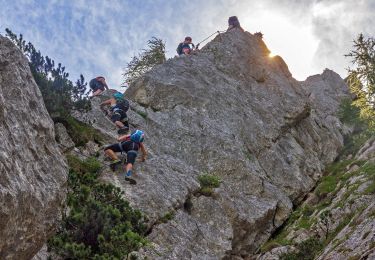 Tocht Te voet Bad Goisern am Hallstättersee - 7-Seenblick-Wanderung & 3-Gipfel-Tour - Photo