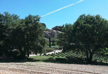 Tour Wandern Buoux - buoux lauris 20 5 19 - Photo