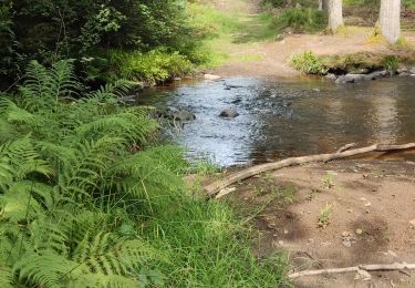 Tour Wandern Geilich - Bovigny - Photo