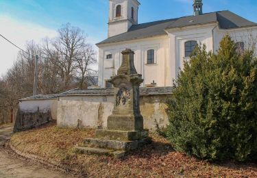 Excursión A pie Dolní Morava - [Č] Žibřidovice - Sušina - Photo