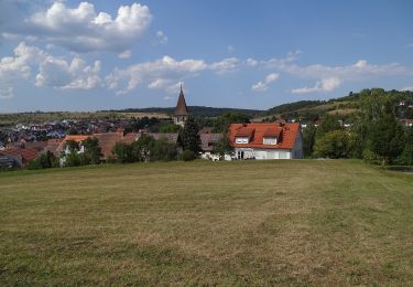 Tocht Te voet Wildberg - Sulz am Eck - Gültlinger Kapf - Photo