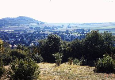 Percorso A piedi Ober-Ramstadt - Rundwanderweg Ober-Ramstadt Am Kuhfalltor 3: Geisenwald-Weg - Photo