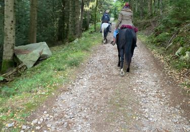 Percorso Equitazione Ban-sur-Meurthe-Clefcy - Fraize col bonhomme Tivio chez Delphine  - Photo