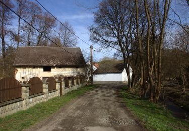 Randonnée A pied Bojanovice - [Z] Štěchovice - Nový Knín - Photo