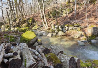 Tour Wandern Arrigas - aumassas en vrai - Photo