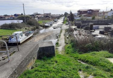 Percorso Marcia Gujan-Mestras - le port du rocher  - Photo