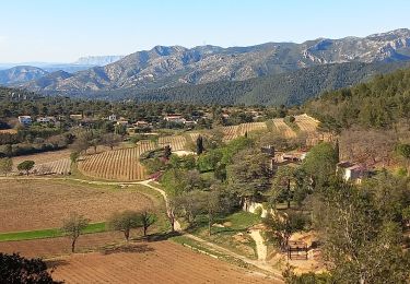 Randonnée Marche Roquefort-la-Bédoule - Le Montounier - Photo