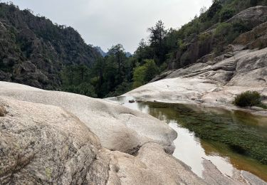 Excursión Senderismo Quenza -  Vers purcaraccia - Photo