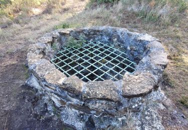 Tocht Stappen Le Castellet - La roche Redonne  - Photo