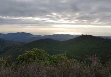 Trail Walking Fréjus - sortie du vendredi 18 décembre 2020 - Photo