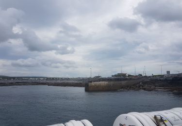 Trail Motorboat  - croisière irlande - Photo