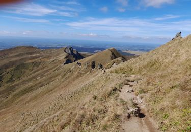 Trail Walking Mont-Dore - Le Sa.cy - Photo