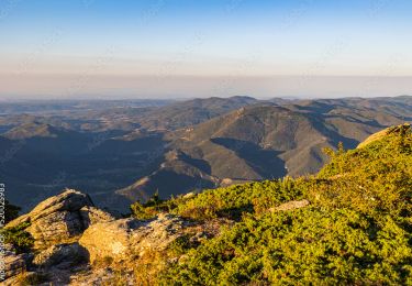 Trail Walking Mons - Le Caroux Gorges d'Héric  - Photo