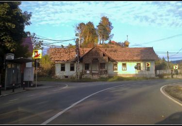 Tour Zu Fuß  - RO-blue triangle - Photo