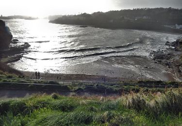 Percorso A piedi Waterford City Metropolitan District - Fairy Bush Loop - Photo