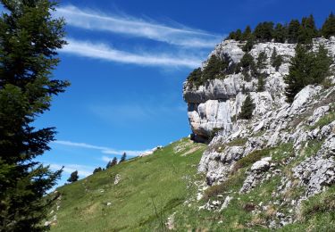 Tocht Stappen Saint-Pierre-d'Entremont - chartreuse varvats fouda blanc pinet - Photo