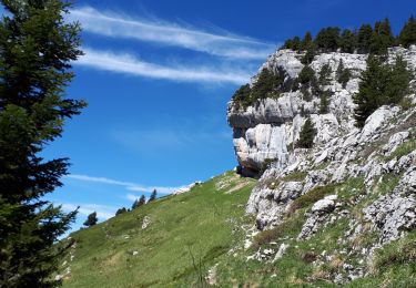 Randonnée Marche Saint-Pierre-d'Entremont - Chartreuse varvats fouda blanc pinet - Photo