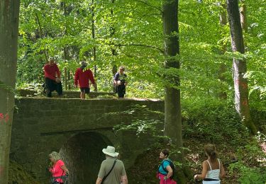 Tour Wandern Gesves - Faulx-les-Tombes - Photo