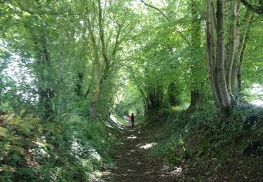 Trail Walking Saint-Vincent-du-Boulay - st Vincent de boulay - Photo