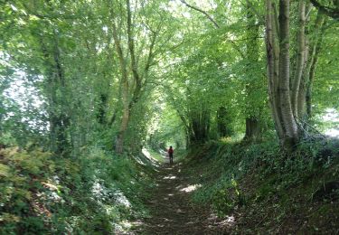 Tour Wandern Saint-Vincent-du-Boulay - st Vincent de boulay - Photo