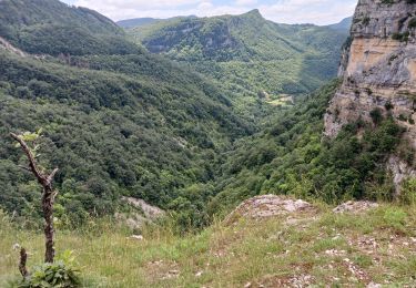 Tour Wandern Plateau d'Hauteville - cascade longcombe - Photo