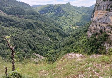 Excursión Senderismo Plateau d'Hauteville - cascade longcombe - Photo