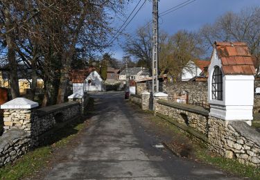 Percorso A piedi Kapolcs - S+ (Kapolcs, am. - Kecske-kő - Alsó-erdő - Kettős-tó) - Photo