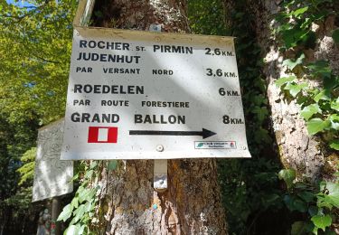 Tocht Stappen Rimbach-près-Guebwiller - Rimbach - Glashutte (10/08/2023) - Photo