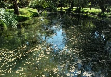 Tour Wandern Vendargues - Vendargues sur les chemins de St Jacques  - Photo